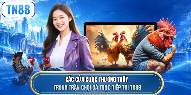 Các cửa cược thường thấy trong trận chọi gà trực tiếp tại TN88