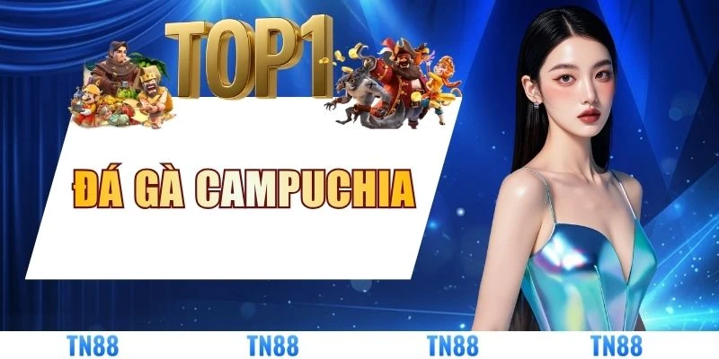 Đá Gà Campuchia: Đỉnh Cao Cá Cược Trực Tiếp Hấp Dẫn