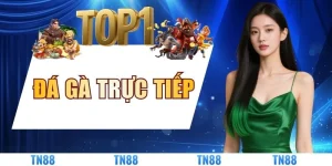 Đá Gà Trực Tiếp - Trải Nghiệm Đấu Trường Sống Động 2026