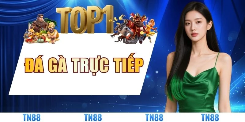 Đá Gà Trực Tiếp - Trải Nghiệm Đấu Trường Sống Động 2026