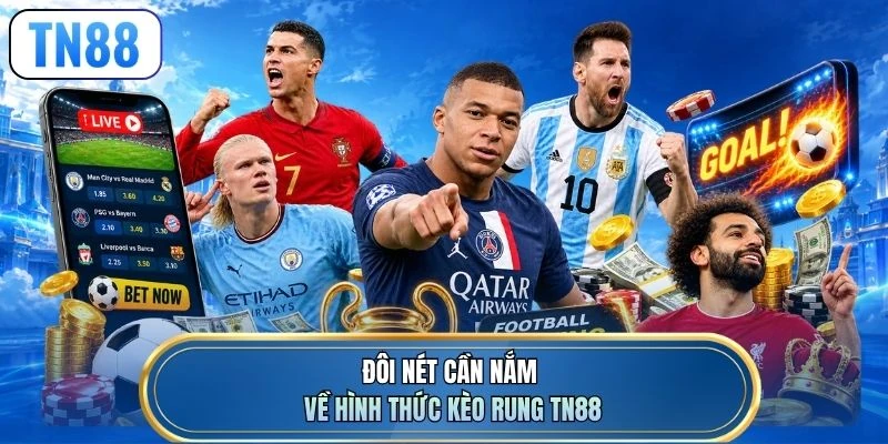 Đôi nét cần nắm về hình thức kèo rung TN88