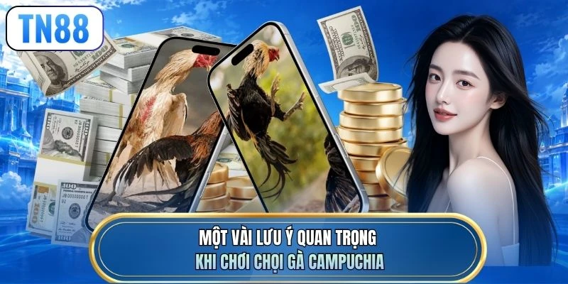 Một vài lưu ý quan trọng khi chơi chọi gà Campuchia
