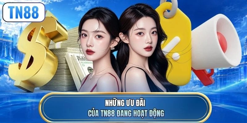 Những ưu đãi của TN88 đang hoạt động