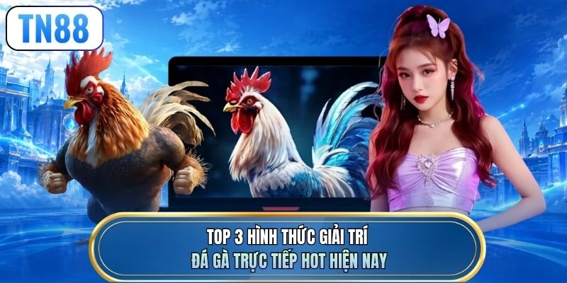 Top 3 hình thức giải trí đá gà trực tiếp hot hiện nay
