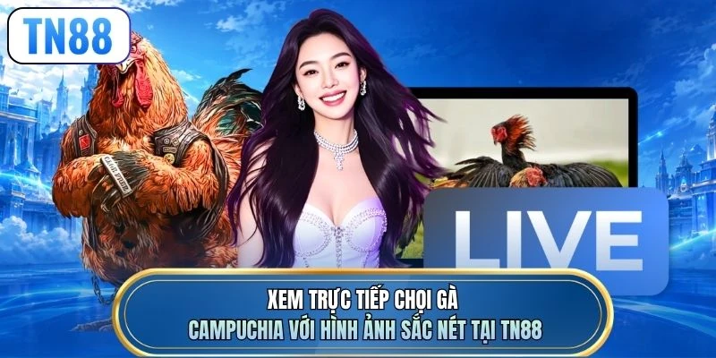 Xem trực tiếp chọi gà Campuchia với hình ảnh sắc nét tại TN88